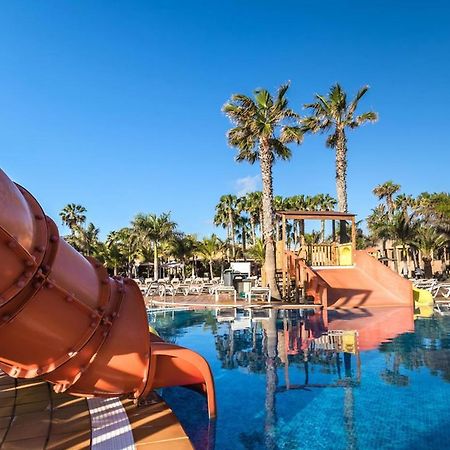 Family Apartment 1 Bedroom With Pool View - Oasis Duna Resort Коральео Экстерьер фото